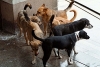 photo_verybig_3192641.preview1.jpg